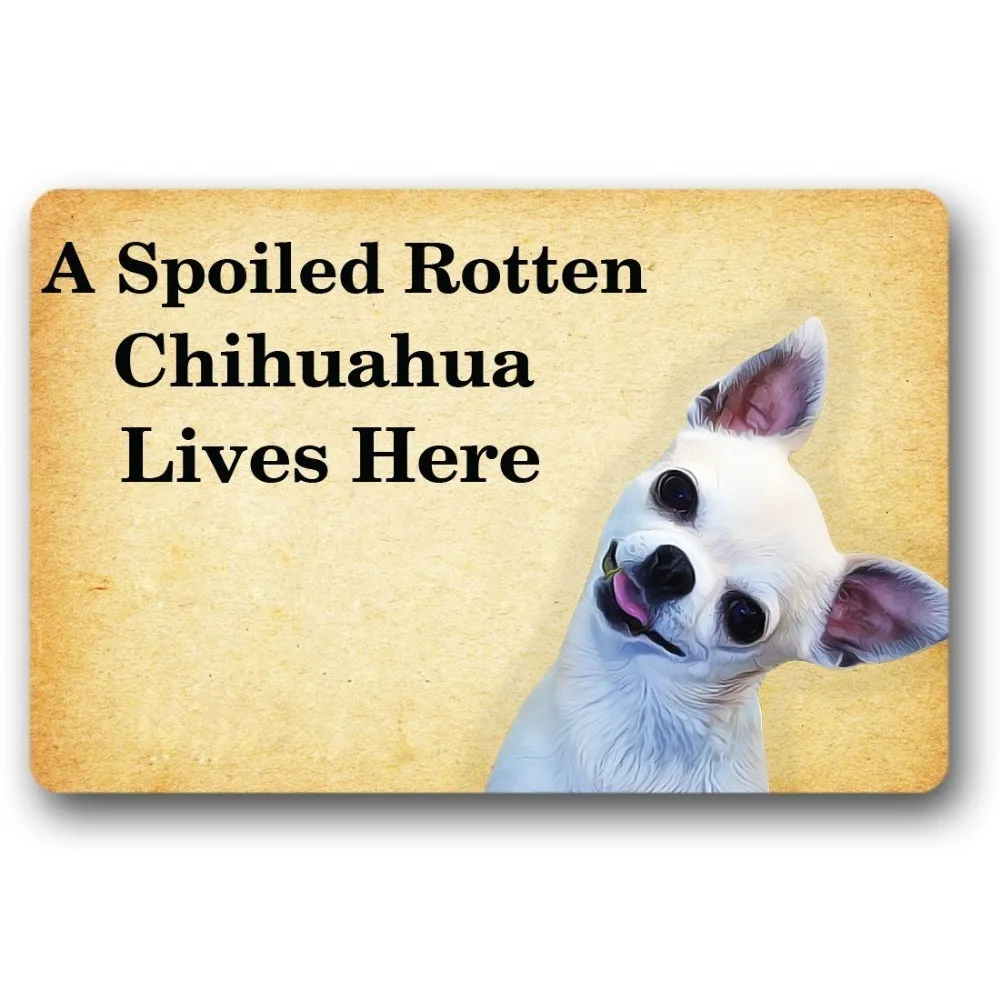 Entrance Floor Mat Non-slip Doormat A Spoiled Rotten Chihuahua Lives Here Rubber Mat Non-woven Fabric Top 18 x 30 Inch
Entrance Floor Mat Non-slip Doormat A Spoiled Rotten Chihuahua Lives Here Rubber Mat Non-woven Fabric Top 18 x 30 Inch