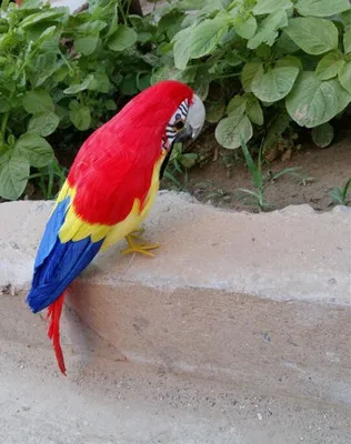 beautiful feathers parrot about 30cm bird parrot model handicraft prop,home garden decoration gift p2510
beautiful feathers parrot about 30cm bird parrot model handicraft prop,home garden decoration gift p2510