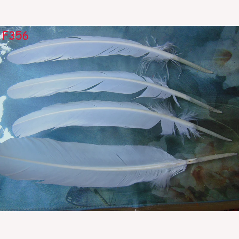 Wholesale 50pcs natural WHITE Turkey feathers DIY do it yourself white feather skirt decoration Accessories 28-33cm / 11-13inch
Wholesale 50pcs natural WHITE Turkey feathers DIY do it yourself white feather skirt decoration Accessories 28-33cm / 11-13inch