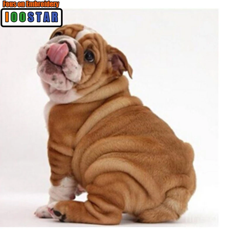 Алмазная живопись Bulldog, вышивка крестиком, алмазная вышивка, свадебное украшение, круглая вышивка, Рождественский Подарок Стразы gits
Алмазная живопись Bulldog, вышивка крестиком, алмазная вышивка, свадебное украшение, круглая вышивка, Рождественский Подарок Стразы gits