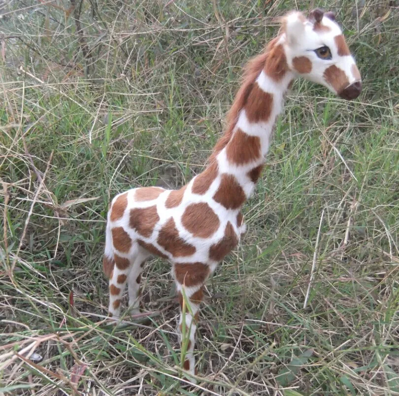 simulation giraffe animal model 30x20cm toy polyethylene&furs handicraft,props decoration gift A612
simulation giraffe animal model 30x20cm toy polyethylene&furs handicraft,props decoration gift A612