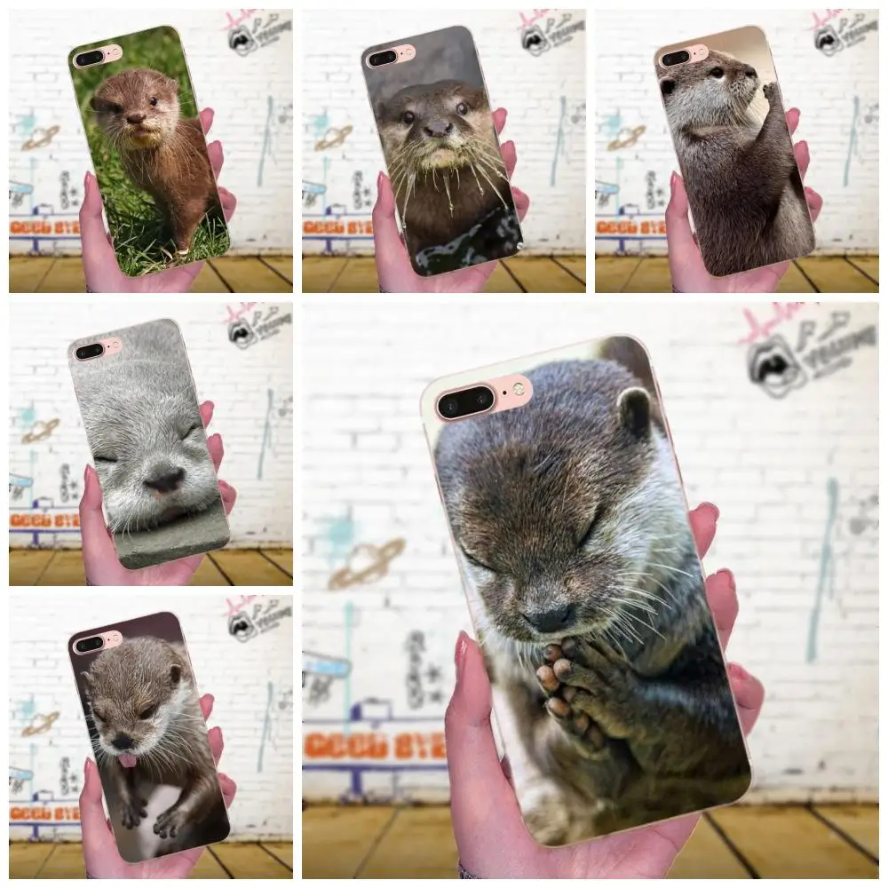 Романтические Otters держащие руки милые для Galaxy Grand Alpha G850 Core2 Prime S2 I9082 A3 A5 A7 On5 On7 2015 2016