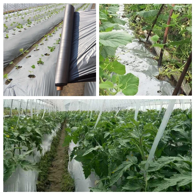 Светоотражающая полиэтиленовая плёнка, 30/0,02 мм
Светоотражающая полиэтиленовая плёнка, 30/0,02 мм