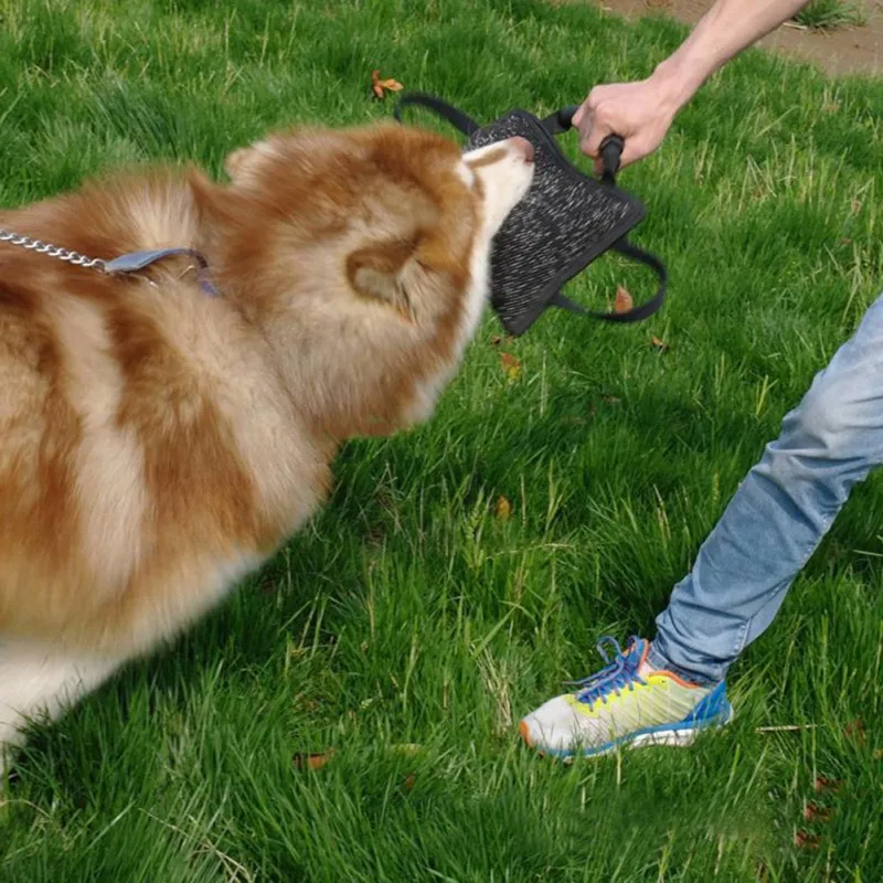 Dog Training Durable Bite Tug With 3 Handles Toys For Dog Jute Linen Interactive Bite Pillow Dog Toys
Dog Training Durable Bite Tug With 3 Handles Toys For Dog Jute Linen Interactive Bite Pillow Dog Toys