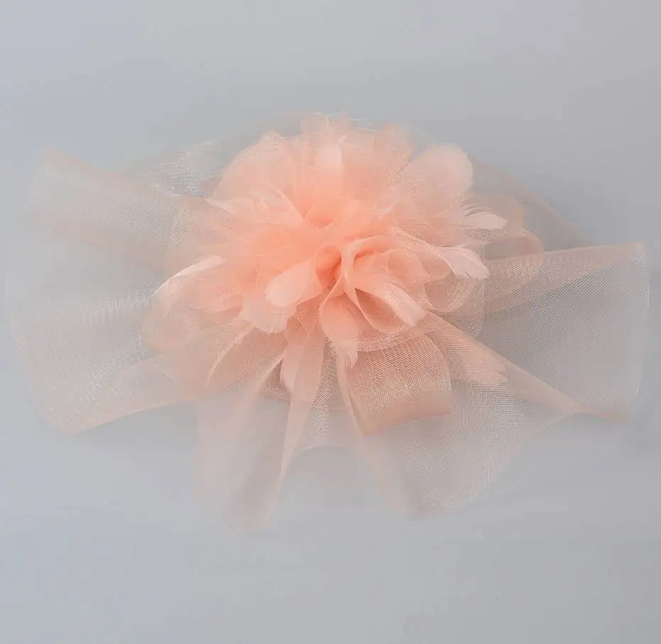 2019 Handmade Nude PInk Fascinator Hat For Women Feather Mesh Fascinator Headwear Hair Clip Ladies Fashion Show Party Headdress
2019 Handmade Nude PInk Fascinator Hat For Women Feather Mesh Fascinator Headwear Hair Clip Ladies Fashion Show Party Headdress