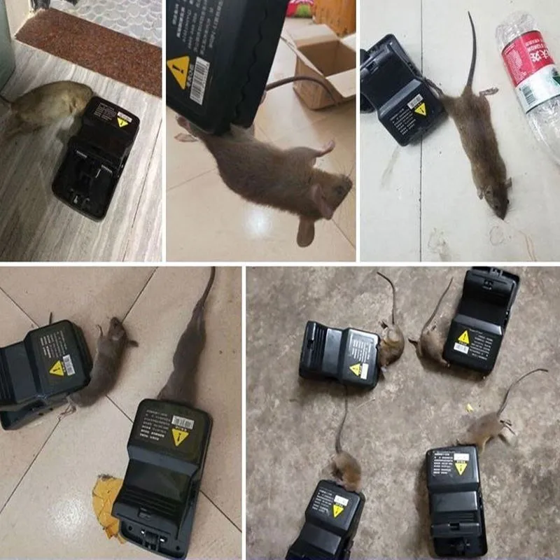 1Pcs Reusable Plastic Mouse Trap Mousetrap Bite Pest Control Trap Easy Catching Rat Trap Rodent Hamster Cage Pest Control
1Pcs Reusable Plastic Mouse Trap Mousetrap Bite Pest Control Trap Easy Catching Rat Trap Rodent Hamster Cage Pest Control