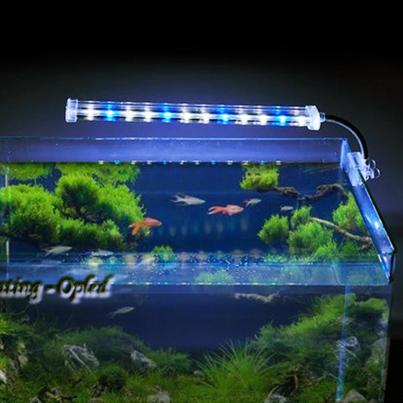 Clip on Crystal Catch Aqua LED - led aquarium light catch tank wall, Royal aquarium led lighting, fish tank light for NeverElse
Clip on Crystal Catch Aqua LED - led aquarium light catch tank wall, Royal aquarium led lighting, fish tank light for NeverElse