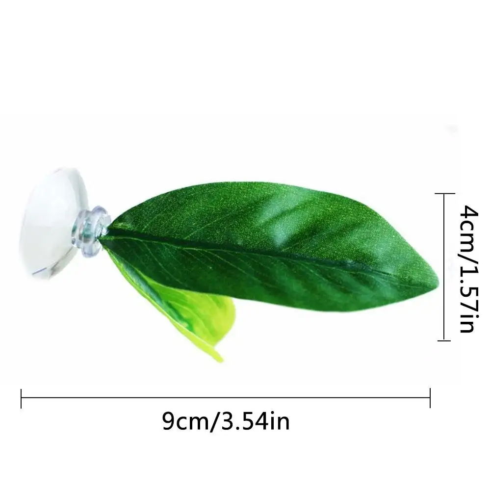 Betta Plant Leaf Hammock Tropical Fish Leaf Pad Rest Bed Fish Tank Aquarium Spawning Foldable Double Layer Ornamental Leaf
Betta Plant Leaf Hammock Tropical Fish Leaf Pad Rest Bed Fish Tank Aquarium Spawning Foldable Double Layer Ornamental Leaf