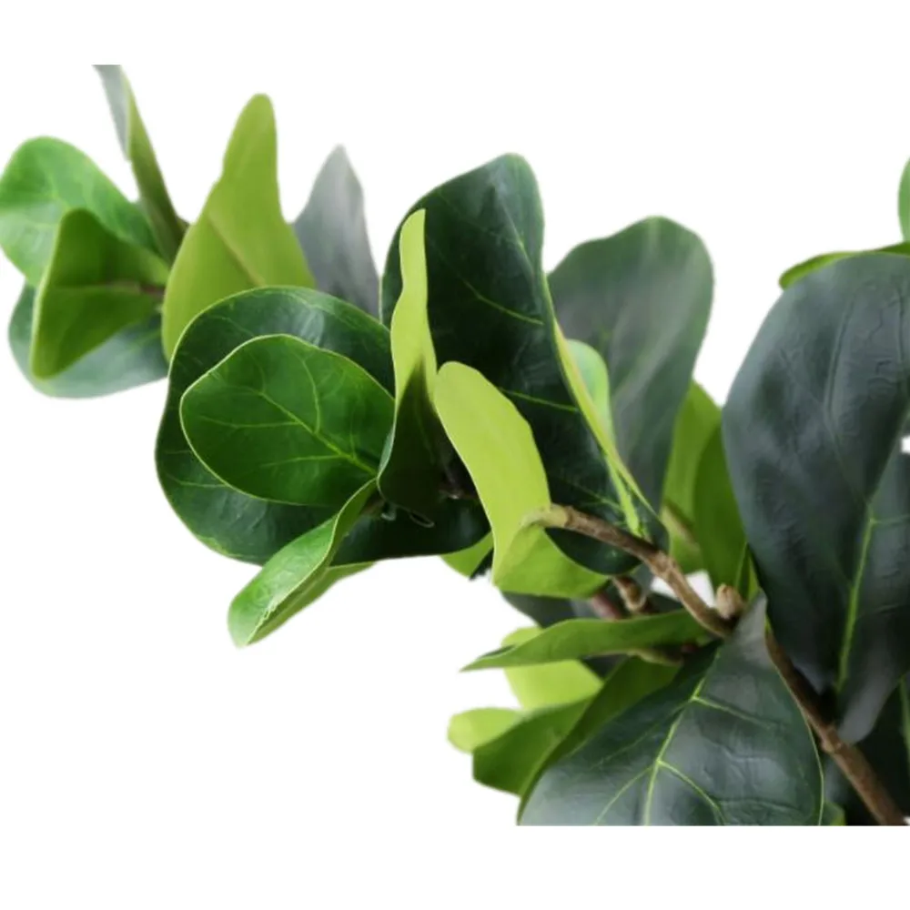 20pcs Fake Ficus Lyrata Leaf Branches Simulation Green Ficus lyrata Leaf Tree Stems Greenery Decorative Artificial Green Plant
20pcs Fake Ficus Lyrata Leaf Branches Simulation Green Ficus lyrata Leaf Tree Stems Greenery Decorative Artificial Green Plant