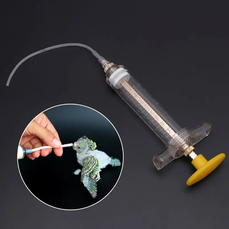 10ml/20ml Parrot Chick Feeder Copper Head Syringe Hose Birds Feeding Injector Supplies Epidemic Prevention Treatment
10ml/20ml Parrot Chick Feeder Copper Head Syringe Hose Birds Feeding Injector Supplies Epidemic Prevention Treatment