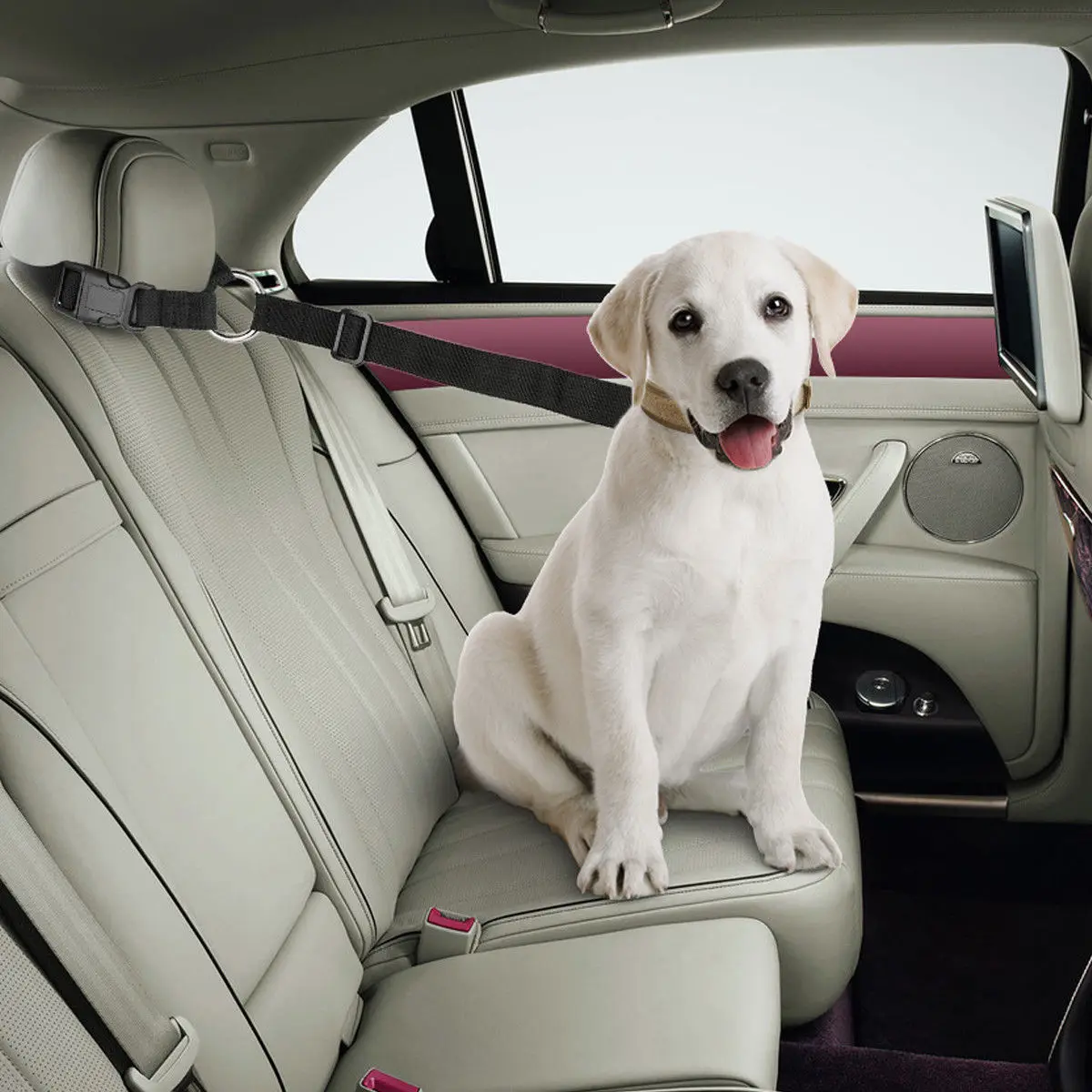 Pet Seatbelt Leash Pet Dog Cat Car Seat Belt Adjustable Harness Seatbelt Leash Travel Clip Strap Lead Leash Dogs Travel Clip Pet
Pet Seatbelt Leash Pet Dog Cat Car Seat Belt Adjustable Harness Seatbelt Leash Travel Clip Strap Lead Leash Dogs Travel Clip Pet