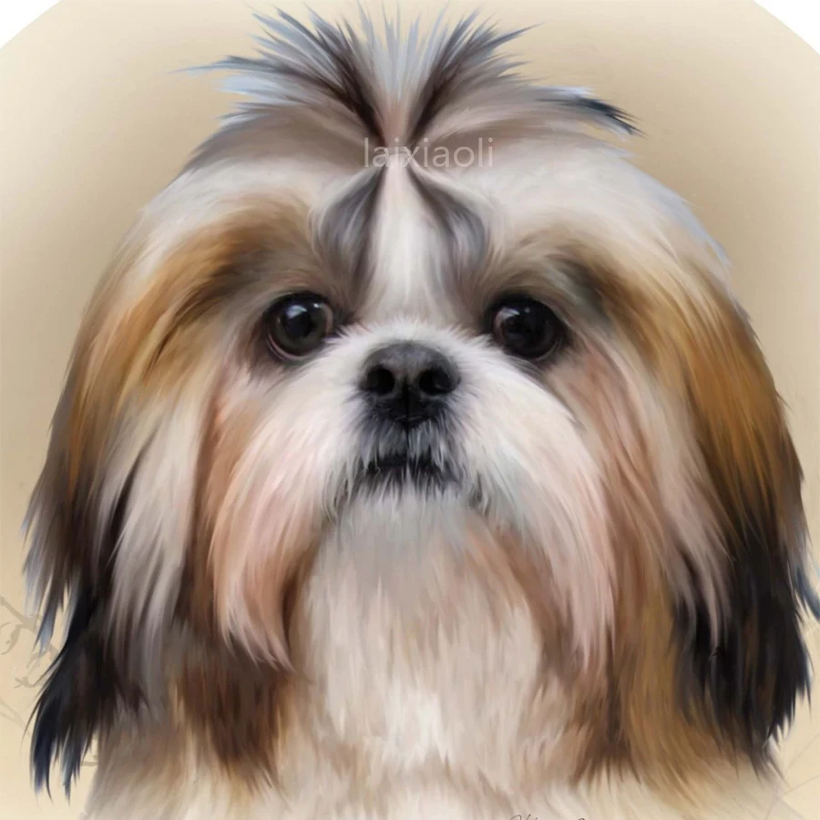 diamond rhinestone DIY 5D Diamond Painting Shih Tzu dog Cross Stitch Diamond Embroidery paintings 3d picture mosaic home decor
diamond rhinestone DIY 5D Diamond Painting Shih Tzu dog Cross Stitch Diamond Embroidery paintings 3d picture mosaic home decor