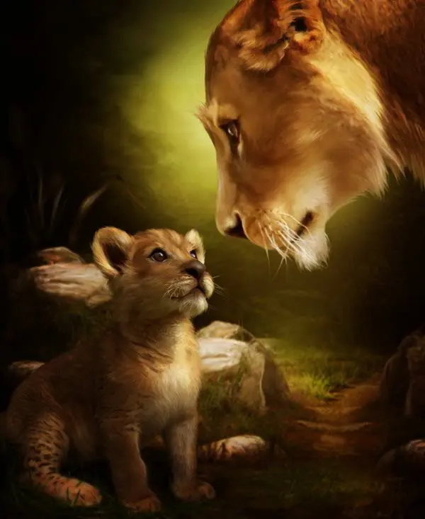 New mosaic full laid diamond painting Forest King lion Love Family baby beads embroidery painting Inlay cartoon handwork
New mosaic full laid diamond painting Forest King lion Love Family baby beads embroidery painting Inlay cartoon handwork