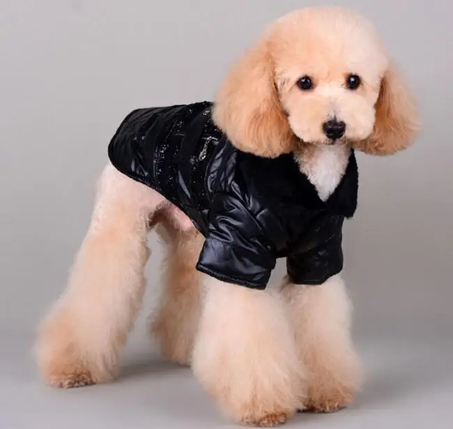 High quality pet dog cat warm jacket costume doggy autumn winter overcoat apparel puppy hoodies clothing dogs cats coat 1pcs
High quality pet dog cat warm jacket costume doggy autumn winter overcoat apparel puppy hoodies clothing dogs cats coat 1pcs