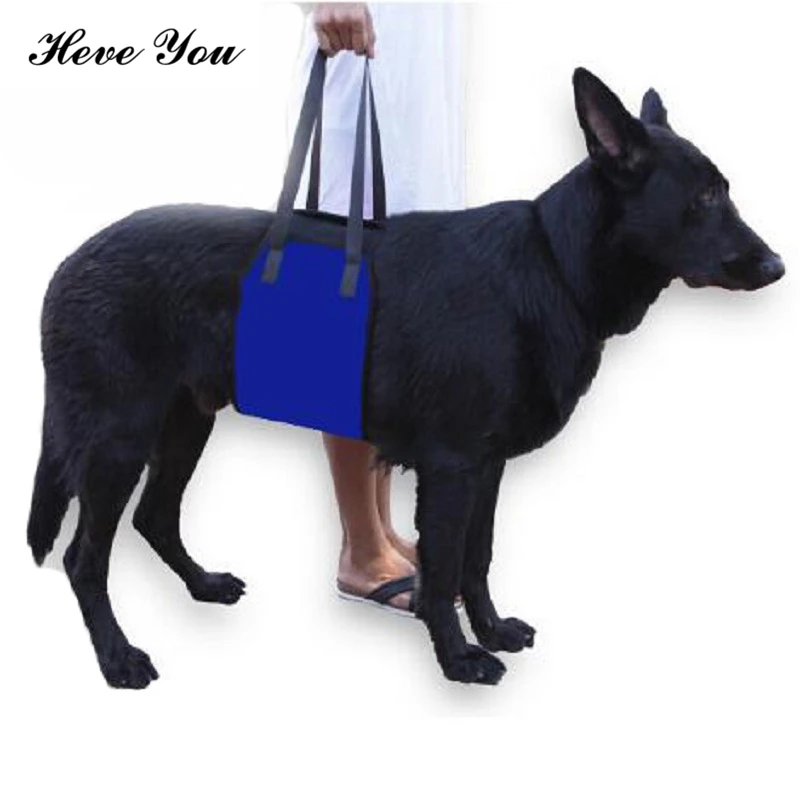 Heve You Harness Running Jogging Pet Dog Protection Belt Adjustable Dog Traction Cats Carry Leash Pet Accessories S~L
Heve You Harness Running Jogging Pet Dog Protection Belt Adjustable Dog Traction Cats Carry Leash Pet Accessories S~L