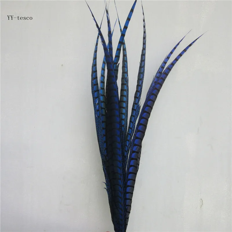 10pcs 32-36 inch/80-90cm sapphire Lady Amherst Pheasant Feather pheasant feathers for carnival party costumes cosplay decoration
10pcs 32-36 inch/80-90cm sapphire Lady Amherst Pheasant Feather pheasant feathers for carnival party costumes cosplay decoration
