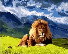 

cioioil-T338 King of beasts on the mountain Painting By Numbers Animals Handpainted Oil Painting Unique Gift