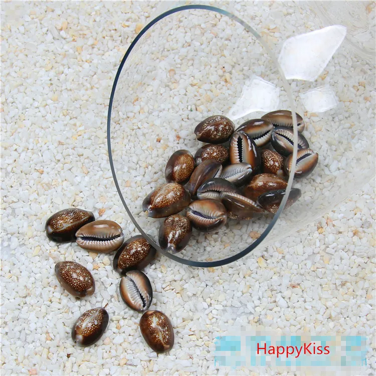 50pcs /lot Natural seashells crafts To stick The wedding party black conch big natural shells 2-3cm Home decoration crafts
50pcs /lot Natural seashells crafts To stick The wedding party black conch big natural shells 2-3cm Home decoration crafts