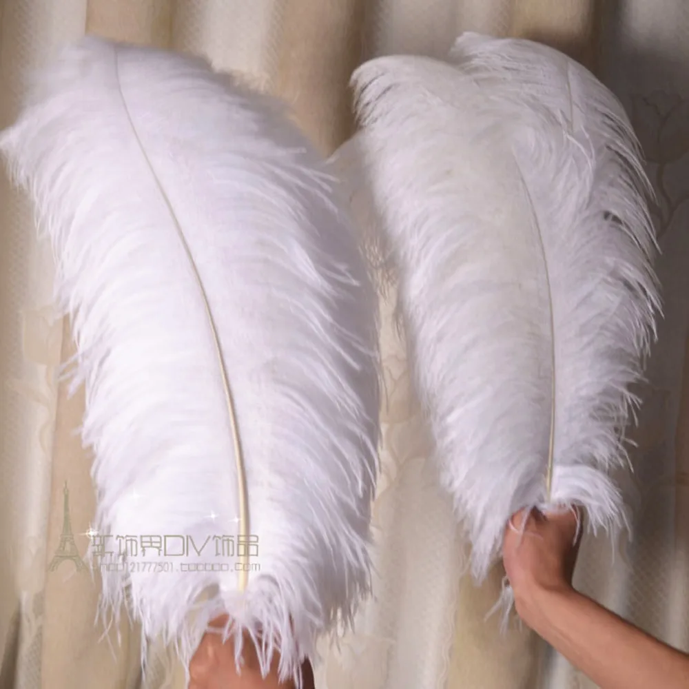 wholesale 20PCS/lot White Ostrich Feathers 50 -55cm/20-22 Inch wedding decoration feathers plumage plumes
wholesale 20PCS/lot White Ostrich Feathers 50 -55cm/20-22 Inch wedding decoration feathers plumage plumes