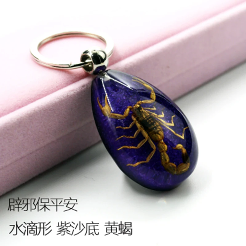 1pcs Insect Specimen Artificial Amber Car Keychain Real Drop sScorpion Spider Green Beetle Jewelry Taxidermy Gift Accessories
1pcs Insect Specimen Artificial Amber Car Keychain Real Drop sScorpion Spider Green Beetle Jewelry Taxidermy Gift Accessories