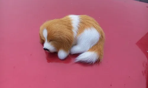 simulation mini dog model toy polyethylene&fur yellow sleeping dog doll gift about 10x4.5x7.5cm 1584
simulation mini dog model toy polyethylene&fur yellow sleeping dog doll gift about 10x4.5x7.5cm 1584