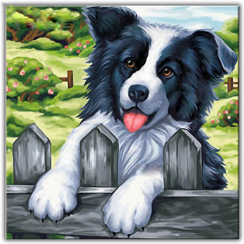 New Diy Diamond painting cross stitch 5d Square or Round diamond mosaic Rhinestone Full Diamond embroidery "Border Collie"
New Diy Diamond painting cross stitch 5d Square or Round diamond mosaic Rhinestone Full Diamond embroidery "Border Collie"