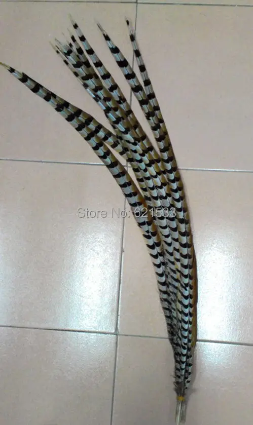 10pcs/lot,130-140CM long Extra Long Feathers,Natural Reeves Venery Pheasant Tail Feathers,Reeves Pheasant Tail feathers
10pcs/lot,130-140CM long Extra Long Feathers,Natural Reeves Venery Pheasant Tail Feathers,Reeves Pheasant Tail feathers