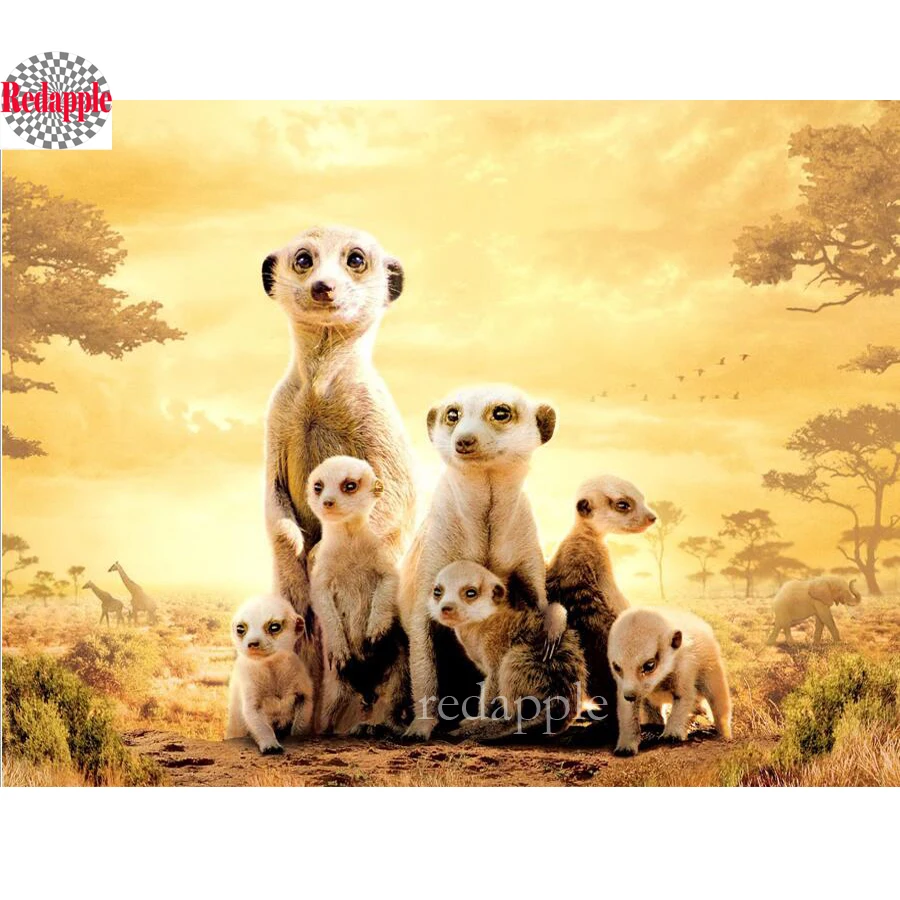 Полностью квадратная дрель 5D DIY Алмазная картина "Meerkat family" значки вышивка