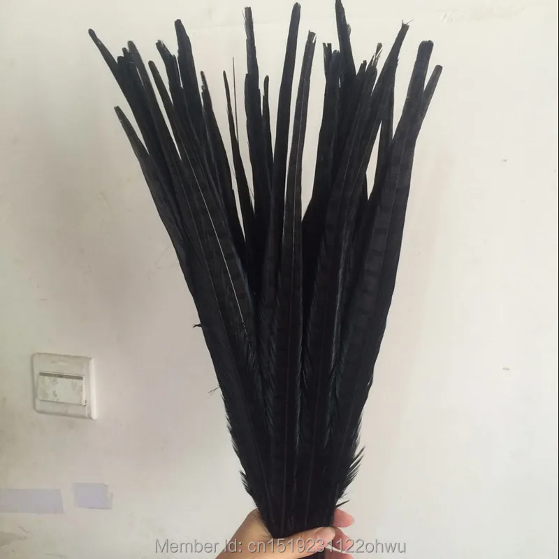 Wholesale 100 beautiful black pheasant feather 18-20 inch 45-50 cm, DIY decorative !
Wholesale 100 beautiful black pheasant feather 18-20 inch 45-50 cm, DIY decorative !