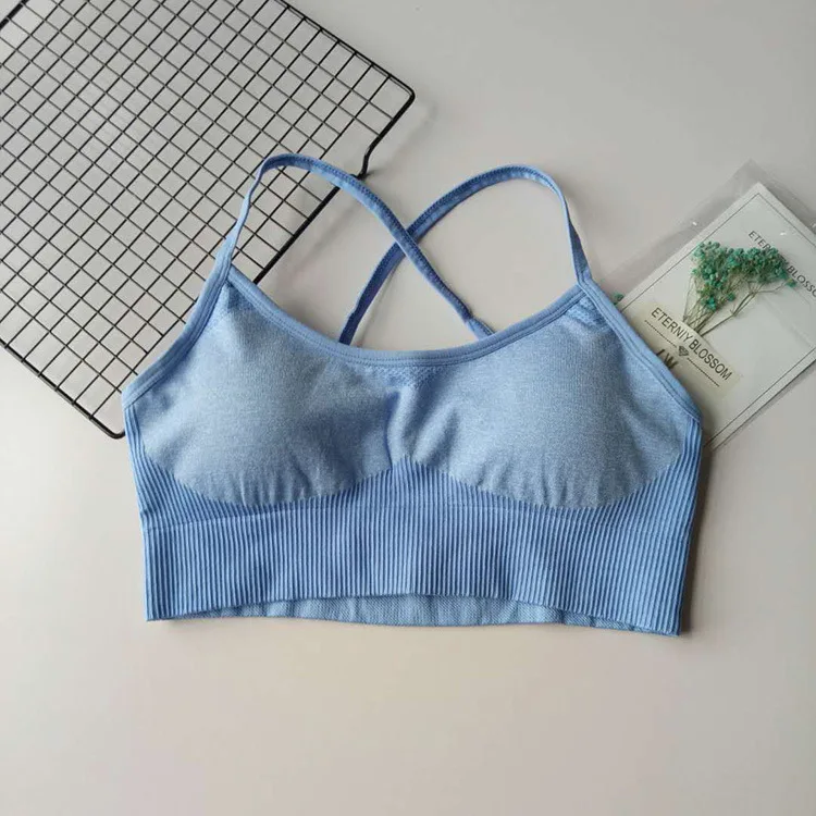 impact seamless crop top fitness gym top women active sports wear for women gym sportsbra womens sports bra active crop top
impact seamless crop top fitness gym top women active sports wear for women gym sportsbra womens sports bra active crop top