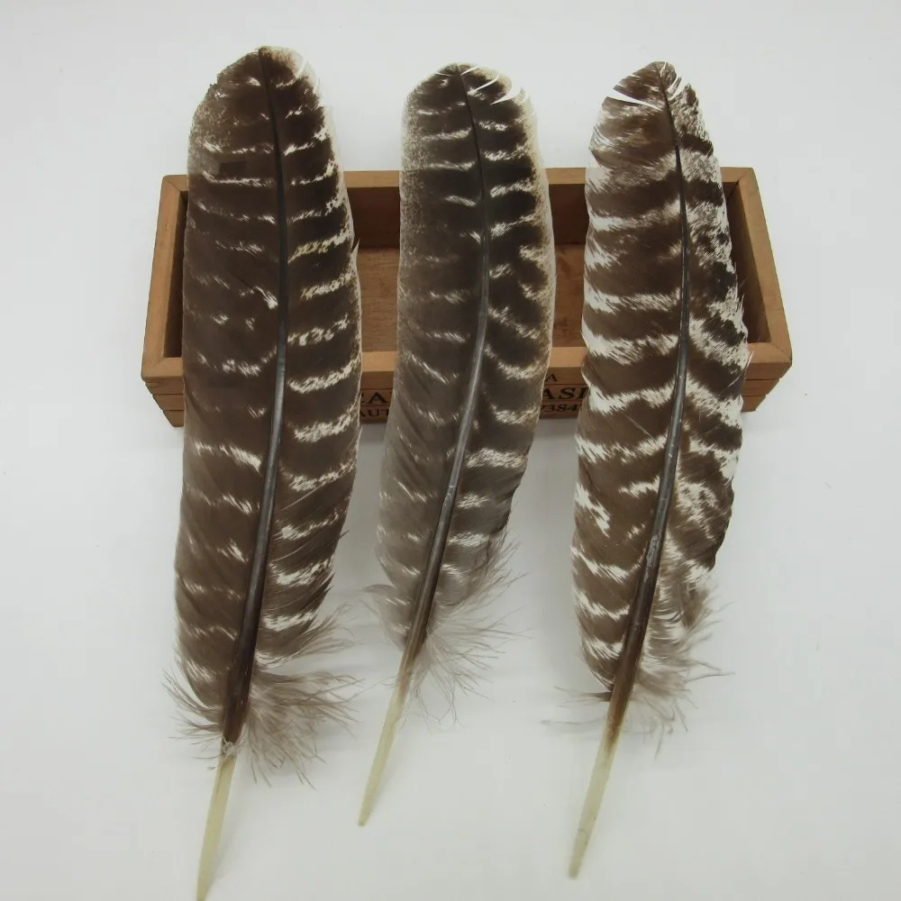 100 pcs 10-18 Inch/20-40CM high quality natural Eagle bird feathers Selected Prime Quality Eagle feathers diy jewelry decoration
100 pcs 10-18 Inch/20-40CM high quality natural Eagle bird feathers Selected Prime Quality Eagle feathers diy jewelry decoration