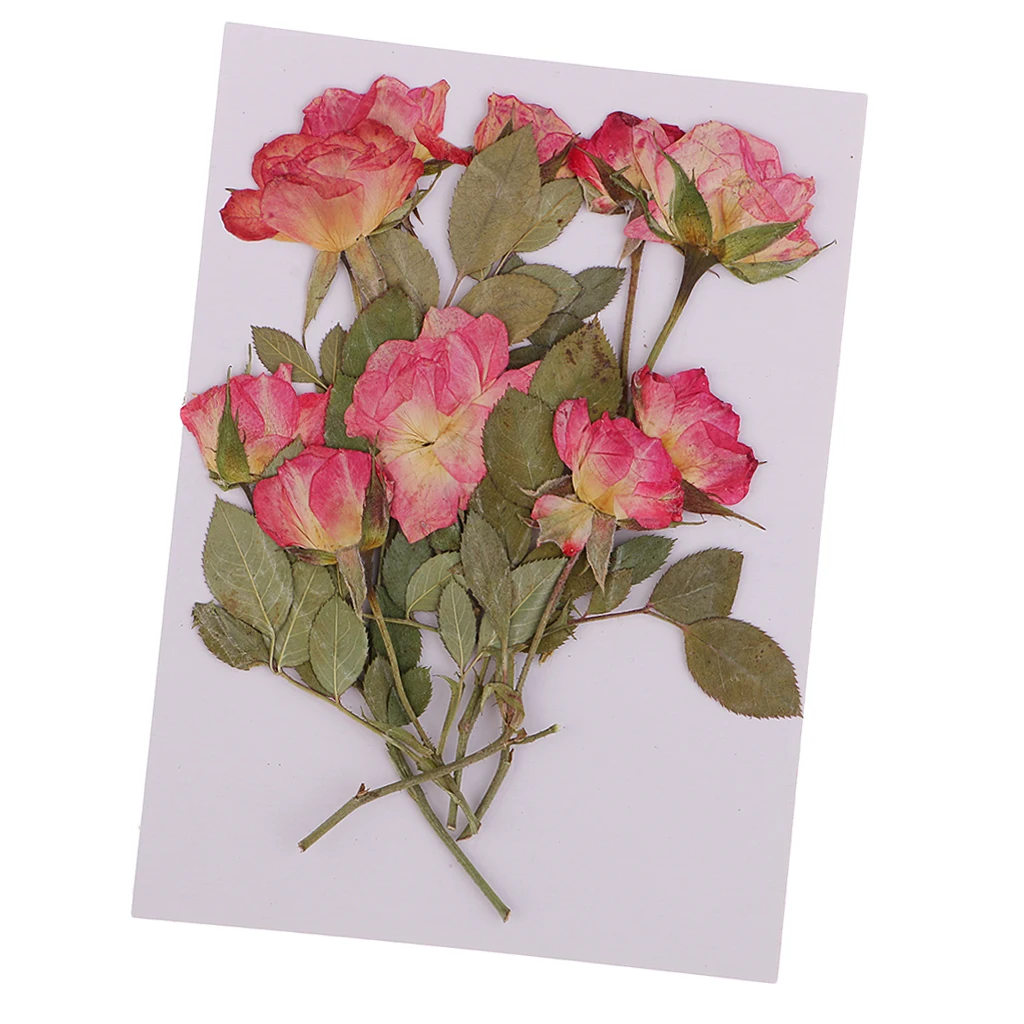 10 шт. натуральный розовый бутоньерка с веткой прессованный высушенный цветок для
