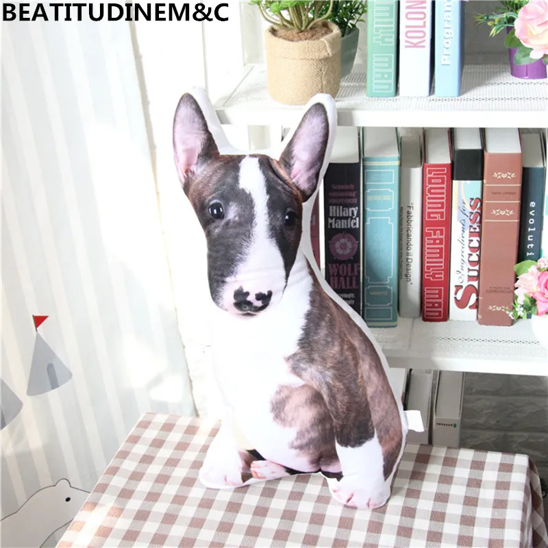 Creative Simulation 3D Cat Dog Pillow Plush Toys, Sofa Pillow Cushions, Furniture Display, Children's Toys, Children's Room Disp
Creative Simulation 3D Cat Dog Pillow Plush Toys, Sofa Pillow Cushions, Furniture Display, Children's Toys, Children's Room Disp