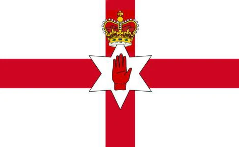 Northern Ireland Flags Wholesale Lot of 10 PCS National Polyester Banner150* 90cm 3ft x 5ft All over the world outdoor
Northern Ireland Flags Wholesale Lot of 10 PCS National Polyester Banner150* 90cm 3ft x 5ft All over the world outdoor