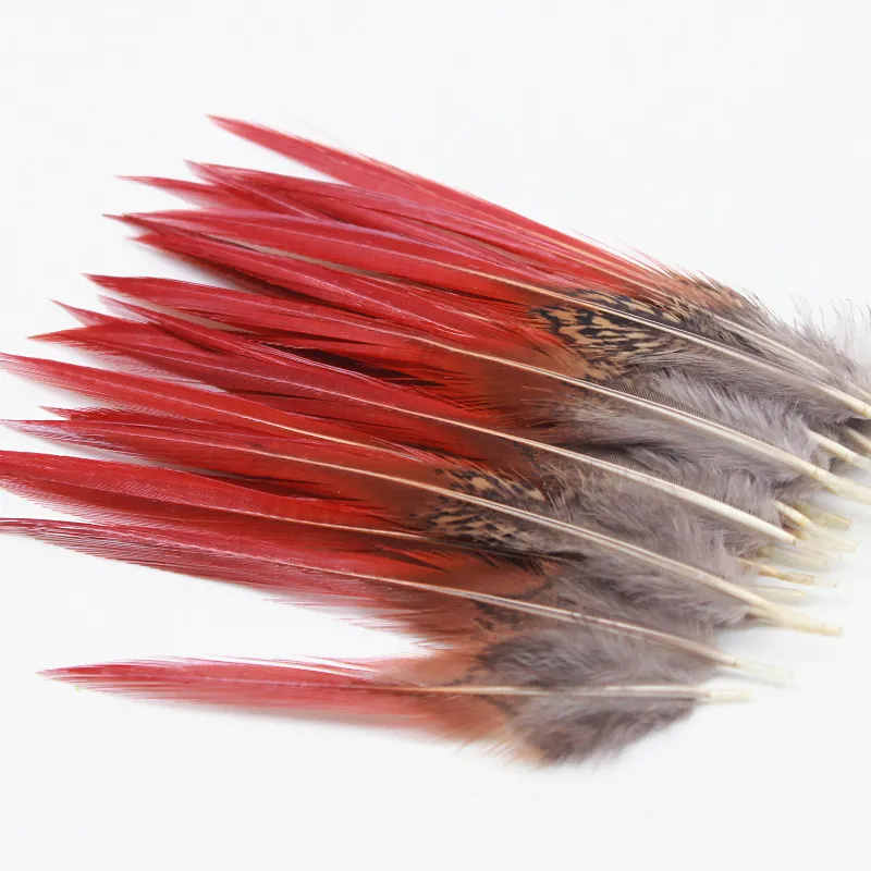 20pcs 4-5.5inch Beautiful pheasant feathers red sword rare feathers bulk feather fly fishing tying accessories material
20pcs 4-5.5inch Beautiful pheasant feathers red sword rare feathers bulk feather fly fishing tying accessories material