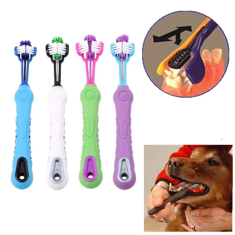 100Pcs Pet Toothbrush Random Color Dog Cat Cleaning SuppliesTeddy Dog Brush Addition Bad Breath Tartar Teeth Care
100Pcs Pet Toothbrush Random Color Dog Cat Cleaning SuppliesTeddy Dog Brush Addition Bad Breath Tartar Teeth Care