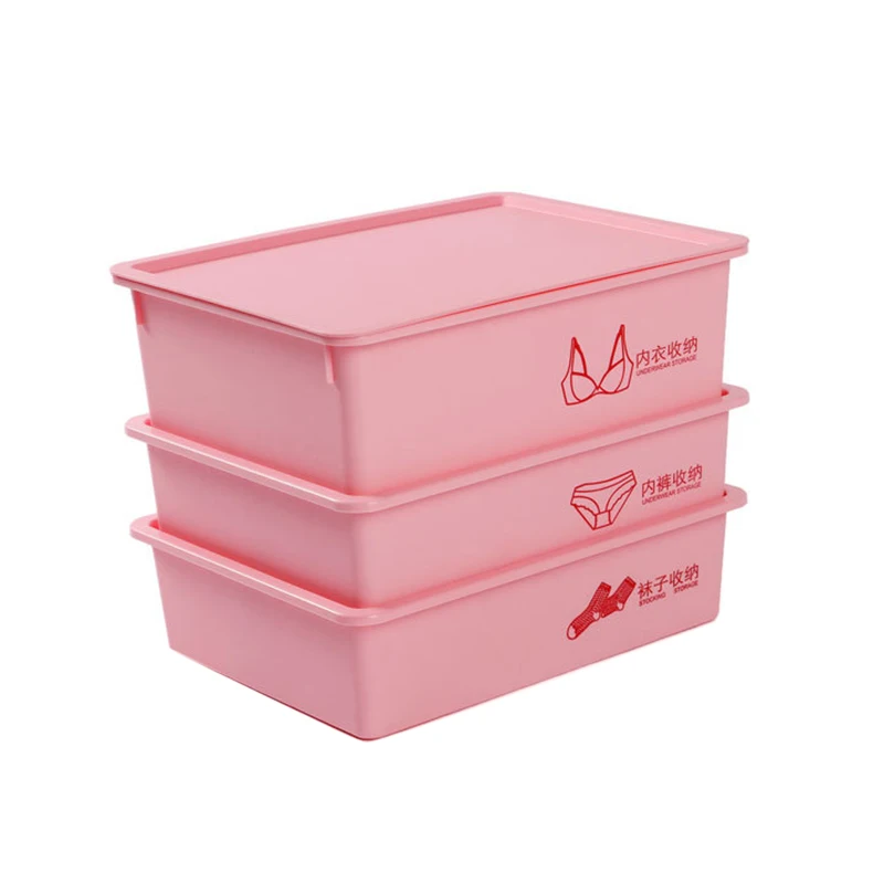 3pcs Portable Storage Box Plastic Underwear Socks Bra Storage Box with Lid DC156
3pcs Portable Storage Box Plastic Underwear Socks Bra Storage Box with Lid DC156