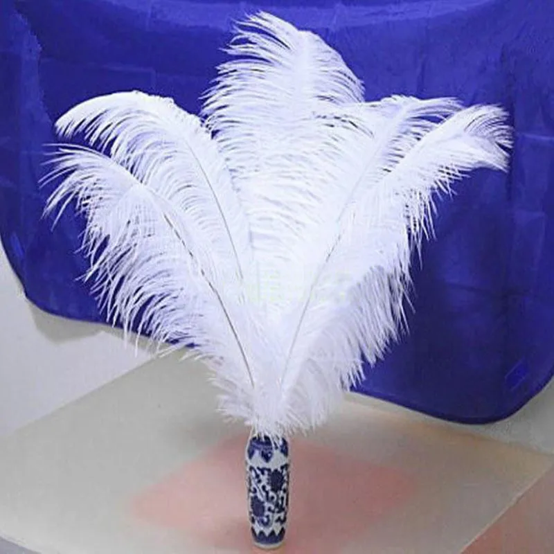 Wholesale 50pcs/lot 12-14" 30-35cm white Ostrich Feather Plume wedding decoration
Wholesale 50pcs/lot 12-14" 30-35cm white Ostrich Feather Plume wedding decoration
