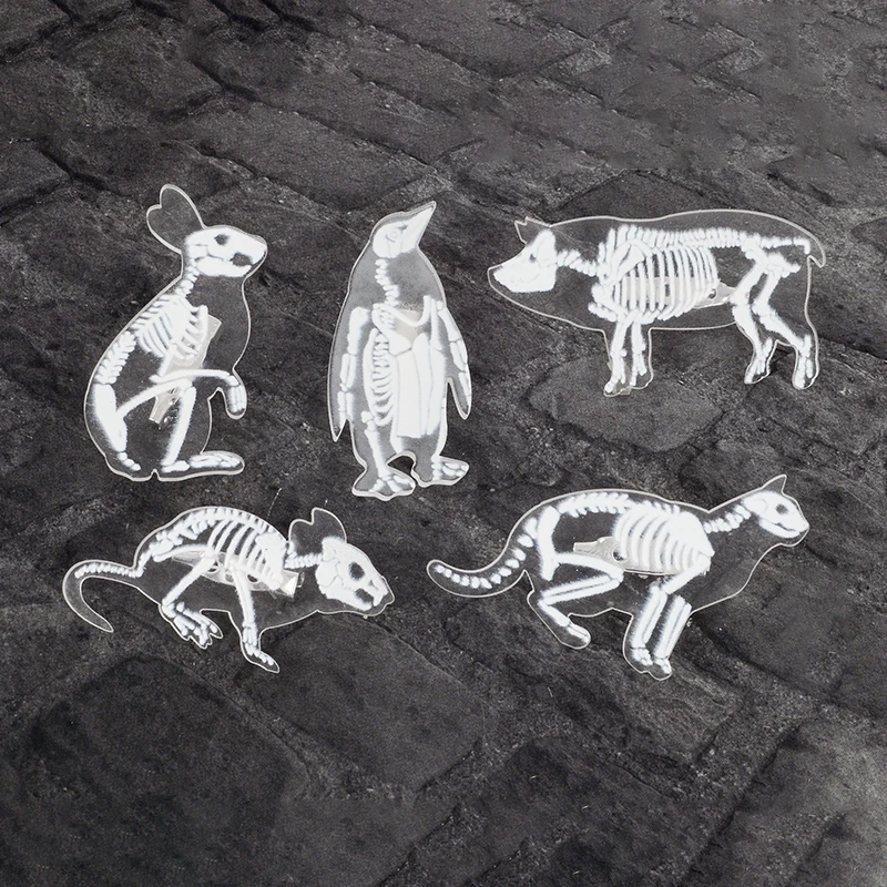 Animal Skeleton Pin Brooch Transparent Acrylic Penguin Pig Rrabbit Cat Mouse Skull Enamel Pin Badge Animal Brooch for Women Men
Animal Skeleton Pin Brooch Transparent Acrylic Penguin Pig Rrabbit Cat Mouse Skull Enamel Pin Badge Animal Brooch for Women Men