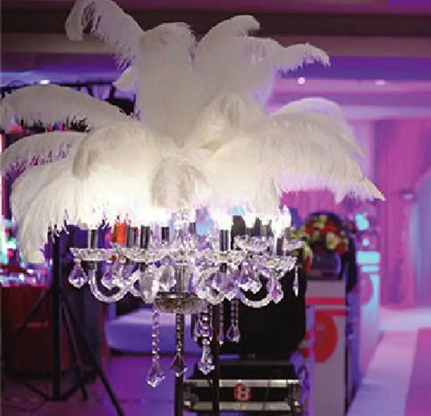 Free Shipping 50pcs White Ostrich Feathers Wedding Party Decorations 6-30 inch/15-75cm Wedding Birthday Christmas Decorations
Free Shipping 50pcs White Ostrich Feathers Wedding Party Decorations 6-30 inch/15-75cm Wedding Birthday Christmas Decorations