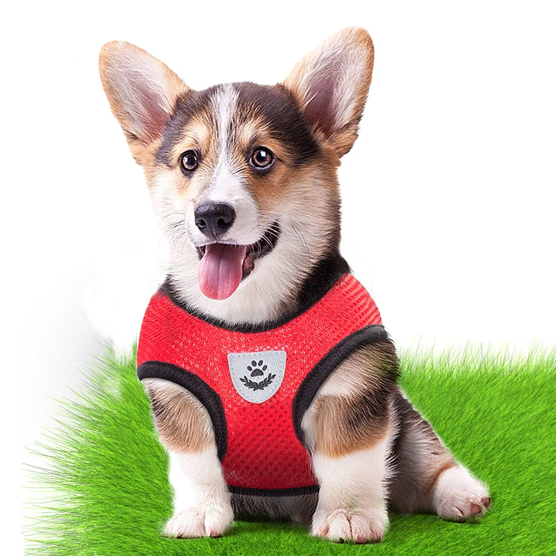 Dog leash vest pet chest strap set mesh breathable reflective vest style collar dog rope pet supplies 4 color hot sale harnesses
Dog leash vest pet chest strap set mesh breathable reflective vest style collar dog rope pet supplies 4 color hot sale harnesses