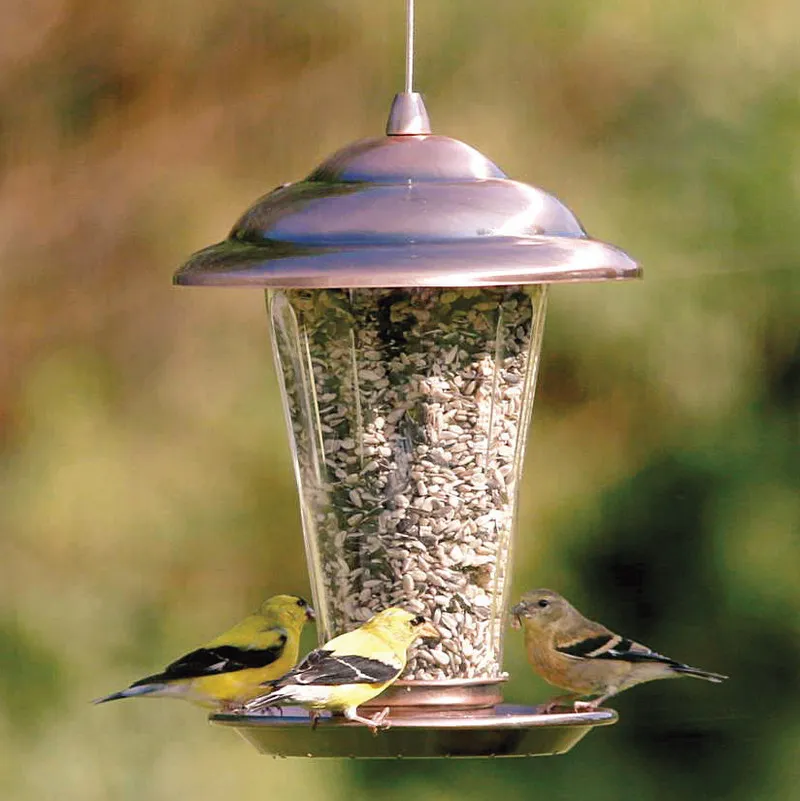 High Quality European Style Garden Wild Bird Feeder Outdoor Bird Feeders Food Container
High Quality European Style Garden Wild Bird Feeder Outdoor Bird Feeders Food Container