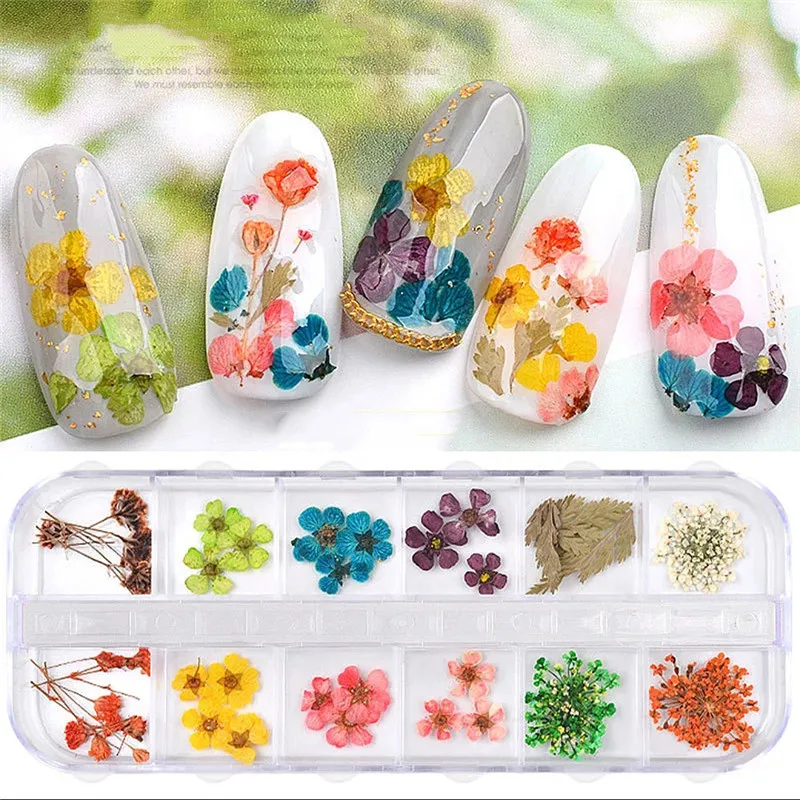 1Box Mix Dried Flowers Nail Decoration 3D Natural Dry Flower Stickers DIY Creativity Nail Art Decals Polish Manicure Accessories
1Box Mix Dried Flowers Nail Decoration 3D Natural Dry Flower Stickers DIY Creativity Nail Art Decals Polish Manicure Accessories