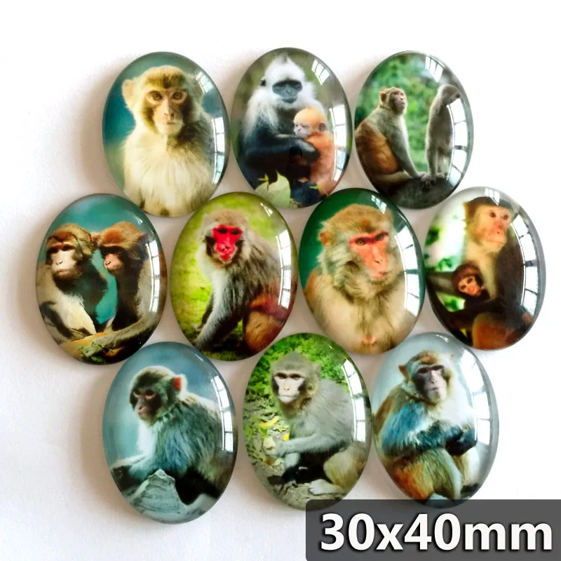 30*40mm oval glass cabochon monkey pictures mixed pattern fit cameo base setting for jewelry embellishment flatback 10pcs/lot
30*40mm oval glass cabochon monkey pictures mixed pattern fit cameo base setting for jewelry embellishment flatback 10pcs/lot