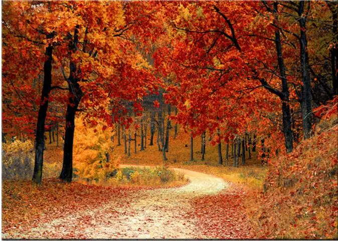 3d diamond embroidery Autumn Forest 5d diamond painting full diamond mosaic picture of rhinestones cross-stitch kits home
3d diamond embroidery Autumn Forest 5d diamond painting full diamond mosaic picture of rhinestones cross-stitch kits home