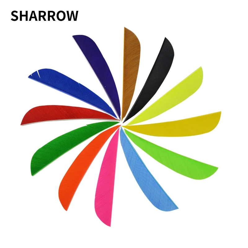 60pcs Arrow Feather 3inch 13 Colors Turkey Nature Feather Used For Hunting Shooting Archery Arrow Shaft
60pcs Arrow Feather 3inch 13 Colors Turkey Nature Feather Used For Hunting Shooting Archery Arrow Shaft