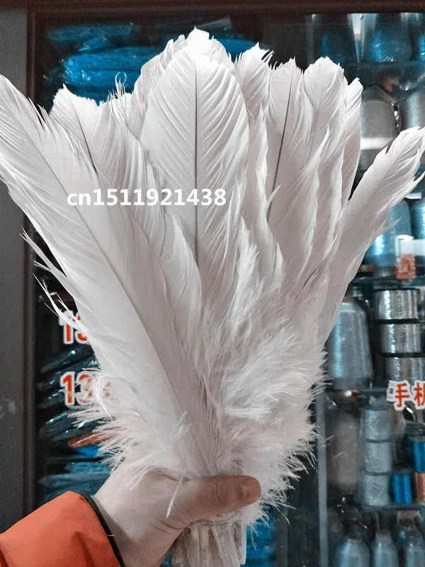Free shipping wholesale 10pcs rare natural white Eagle feathers 35-40cm/14-16 inch Clothing accessories stage performance diy
Free shipping wholesale 10pcs rare natural white Eagle feathers 35-40cm/14-16 inch Clothing accessories stage performance diy