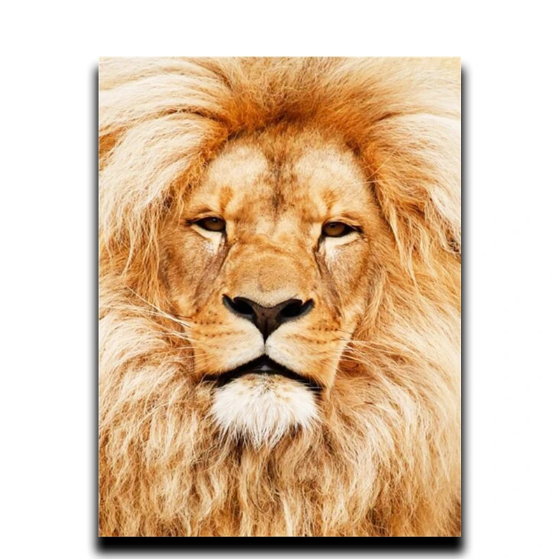 Diy Diamond Embroidery Animal Lion Painting Series 5D Diamond Diamond Square Mosaic Icons Full Image Rhinestone Embroidery
Diy Diamond Embroidery Animal Lion Painting Series 5D Diamond Diamond Square Mosaic Icons Full Image Rhinestone Embroidery