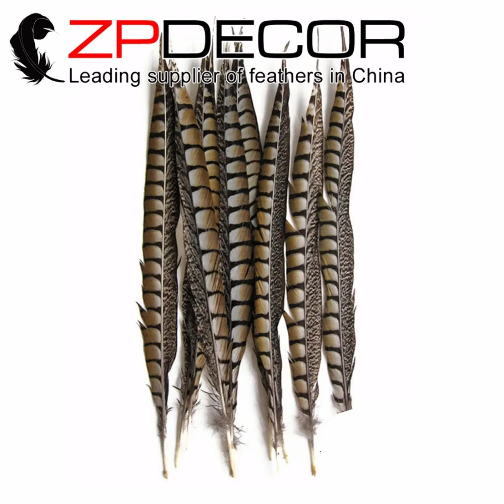 ZPDECOR 12-20 дюймов (30-50 см) 50 шт./лот, гладкий, высокое качество, натуральный женский хвост, перышки, вечерние принадлежности для фестиваля, сделай...
ZPDECOR 12-20 дюймов (30-50 см) 50 шт./лот, гладкий, высокое качество, натуральный женский хвост, перышки, вечерние принадлежности для фестиваля, сделай...