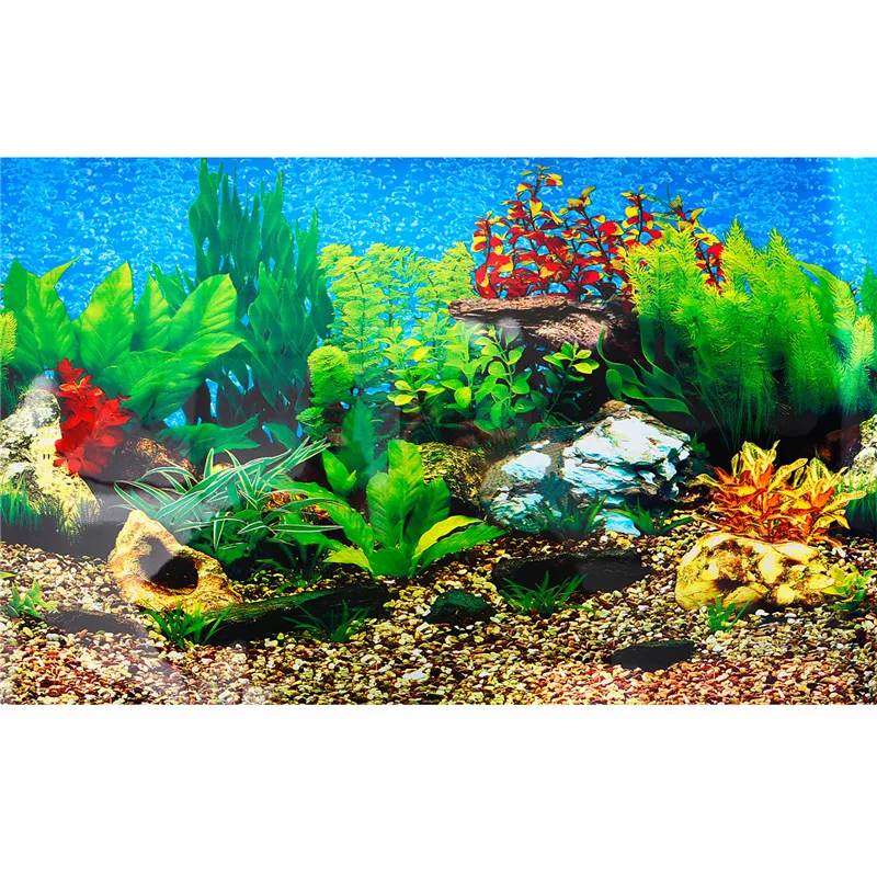 New Double Sided Aquarium Fish Tank Poster Background Decoration Aquarium Ocean Decorative Wall Background Poster Accessories
New Double Sided Aquarium Fish Tank Poster Background Decoration Aquarium Ocean Decorative Wall Background Poster Accessories